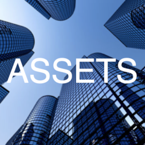 REAL ASSETS - Geographical View
